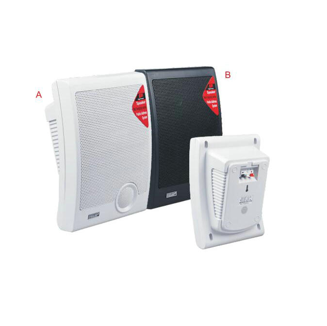 wall mounted speakers for classroom Swallow