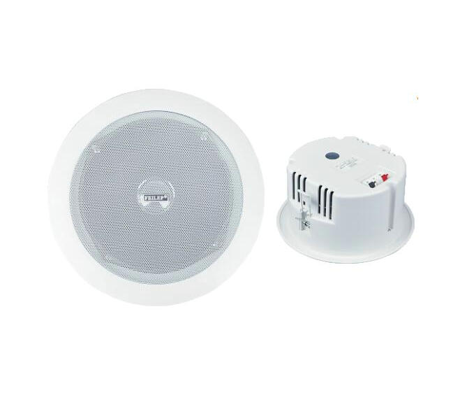 solid cheap ceiling speakers package for classroom Swallow