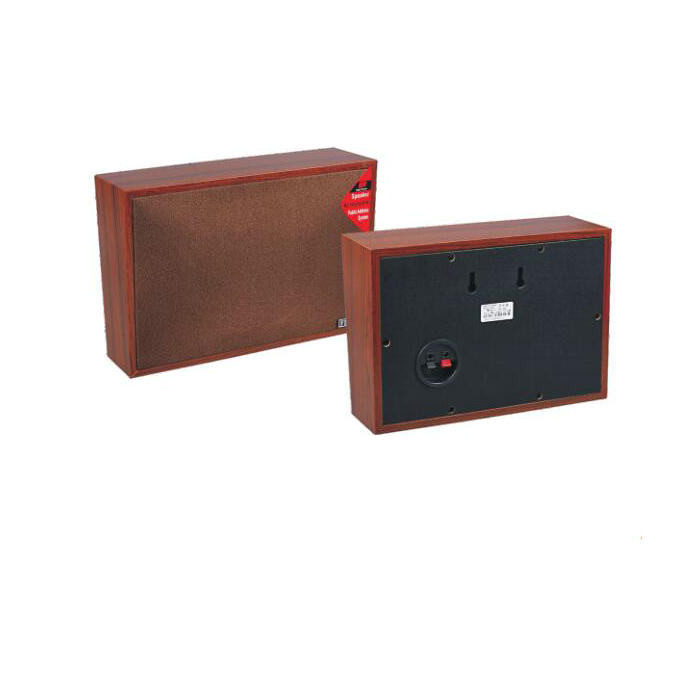 wall mounted active speakers directly sale for shop Swallow