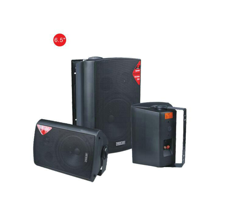 wall mounted pc speakers owner for classroom Swallow