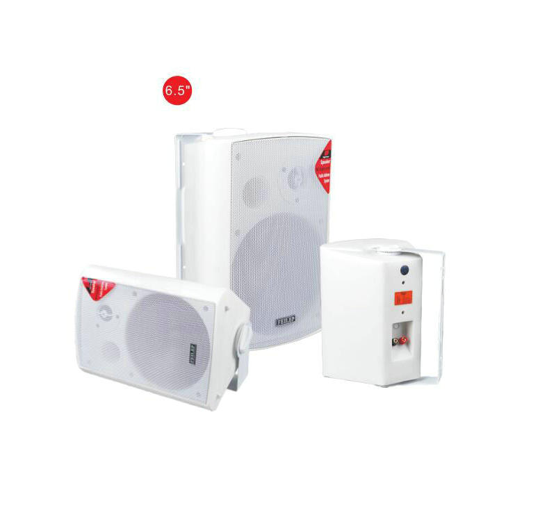 wall mounted classroom speakers owner for classroom Swallow