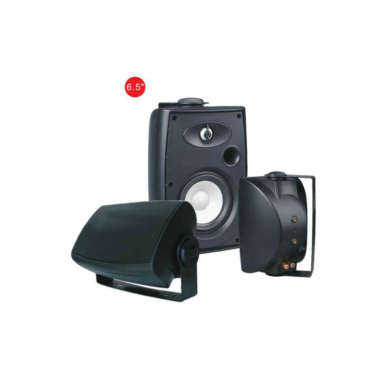 industryleading wall mounted speakers with amplifier producer for