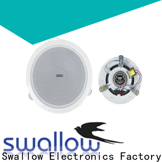 solid best outdoor ceiling speakers Application for classroom Swallow