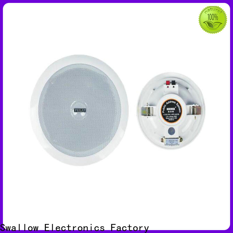 solid best outdoor ceiling speakers for meeting room Swallow